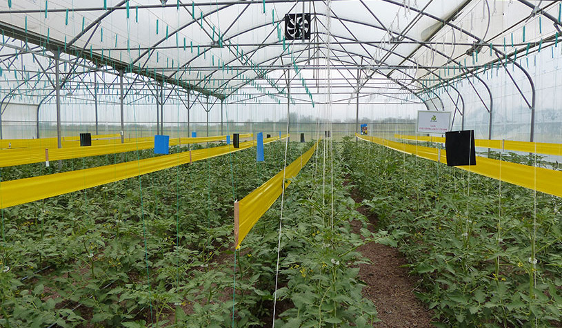 Լճաշեն գյուղում կկառուցվի գերժամանակակից ջերմոցային համալիր