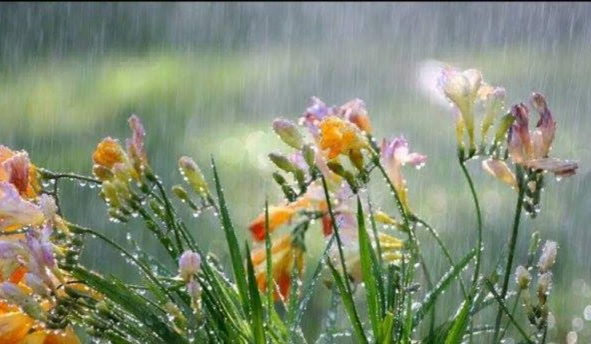 Օդի ջերմաստիճանն աստիճանաբար կնվազի 4-6 աստիճանով