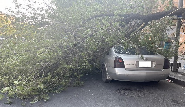 Կիևյան փողոցի շենքերից մեկի մոտակայքում ծառը կոտրվել և ընկել է ավտոմեքենայի վրա. ՆԳՆ ՓԾ