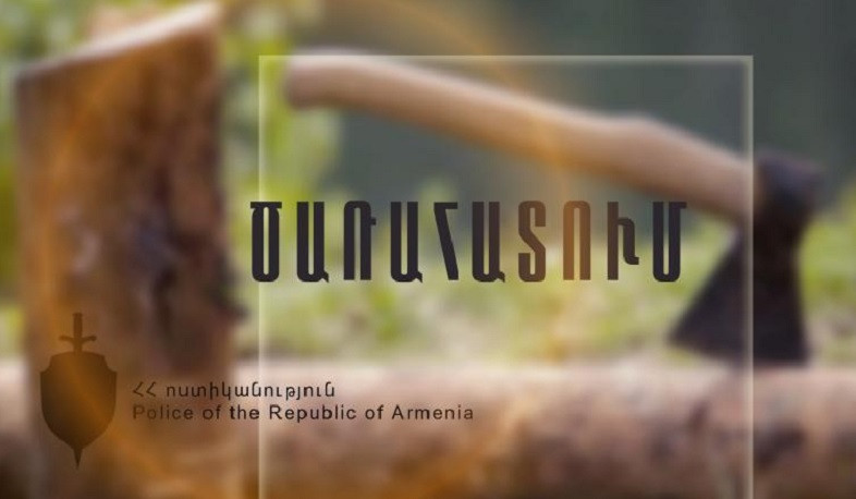 Քաղաքացին Եղեգնուտի անտառում հատել էր 6 կանգուն ծառ և բռնվել