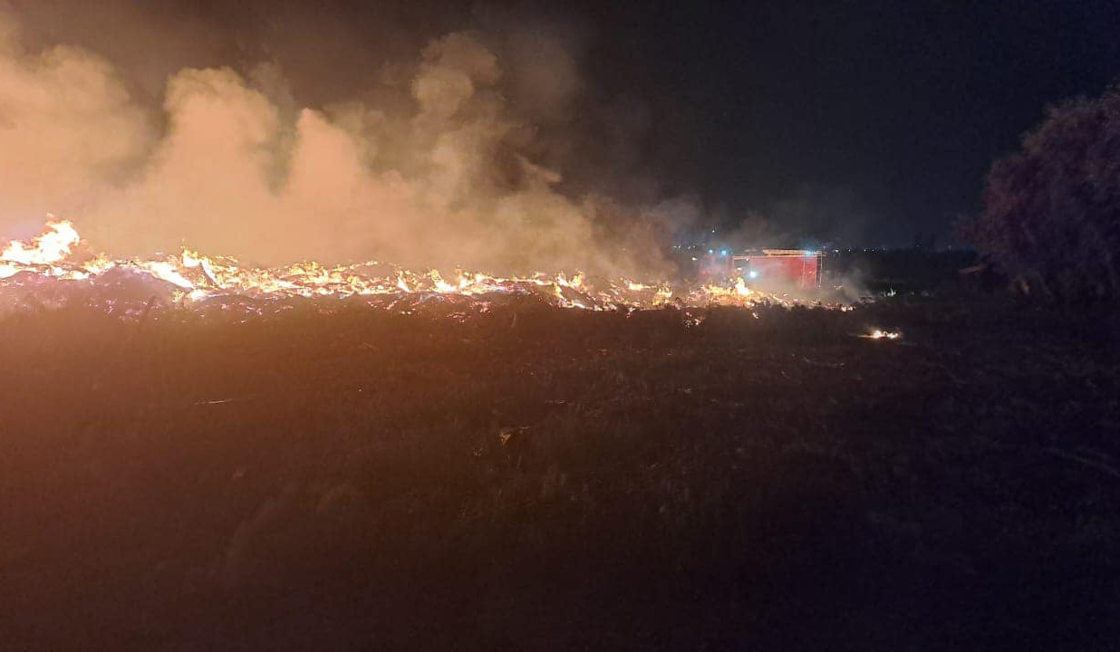 «Կանաչապատում և շրջակա միջավայրի պահպանություն» ՀՈԱԿ-ի տնկարանում բռնկված հրդեհը մեկուսացվել է