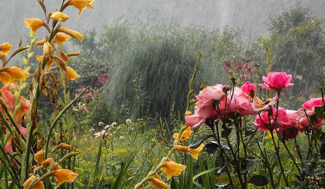 Հանրապետության շրջանների զգալի մասում սպասվում է անձրև և ամպրոպ