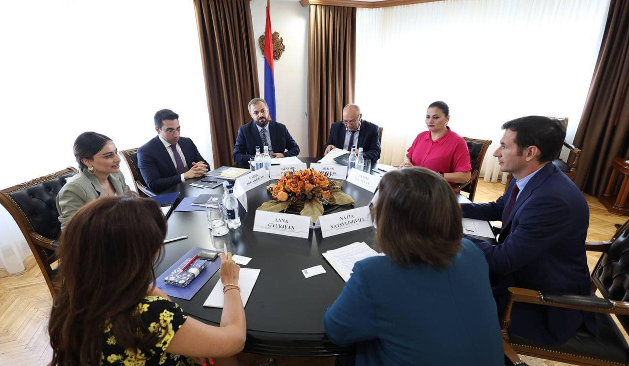 Պապոյանը և Նացվլիշվիլին քննարկել են ՄԱԶԾ-ի՝ կայուն զարգացման նախաձեռնություններին աջակցելու հնարավորությունները