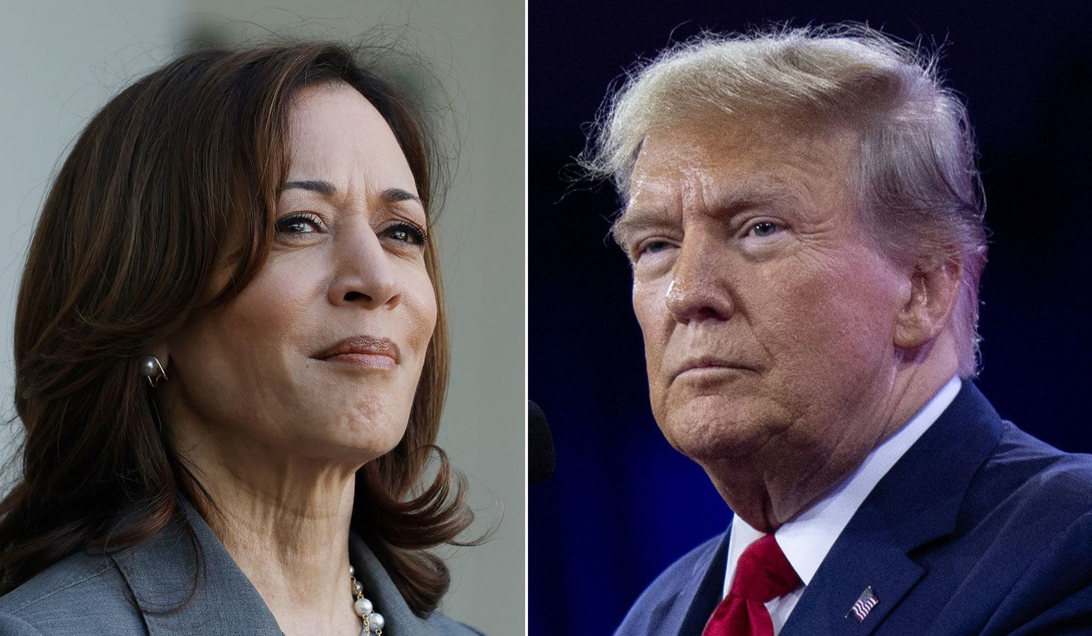 Harris leads Trump 44% to 42% in US presidential race: Reuters/Ipsos poll