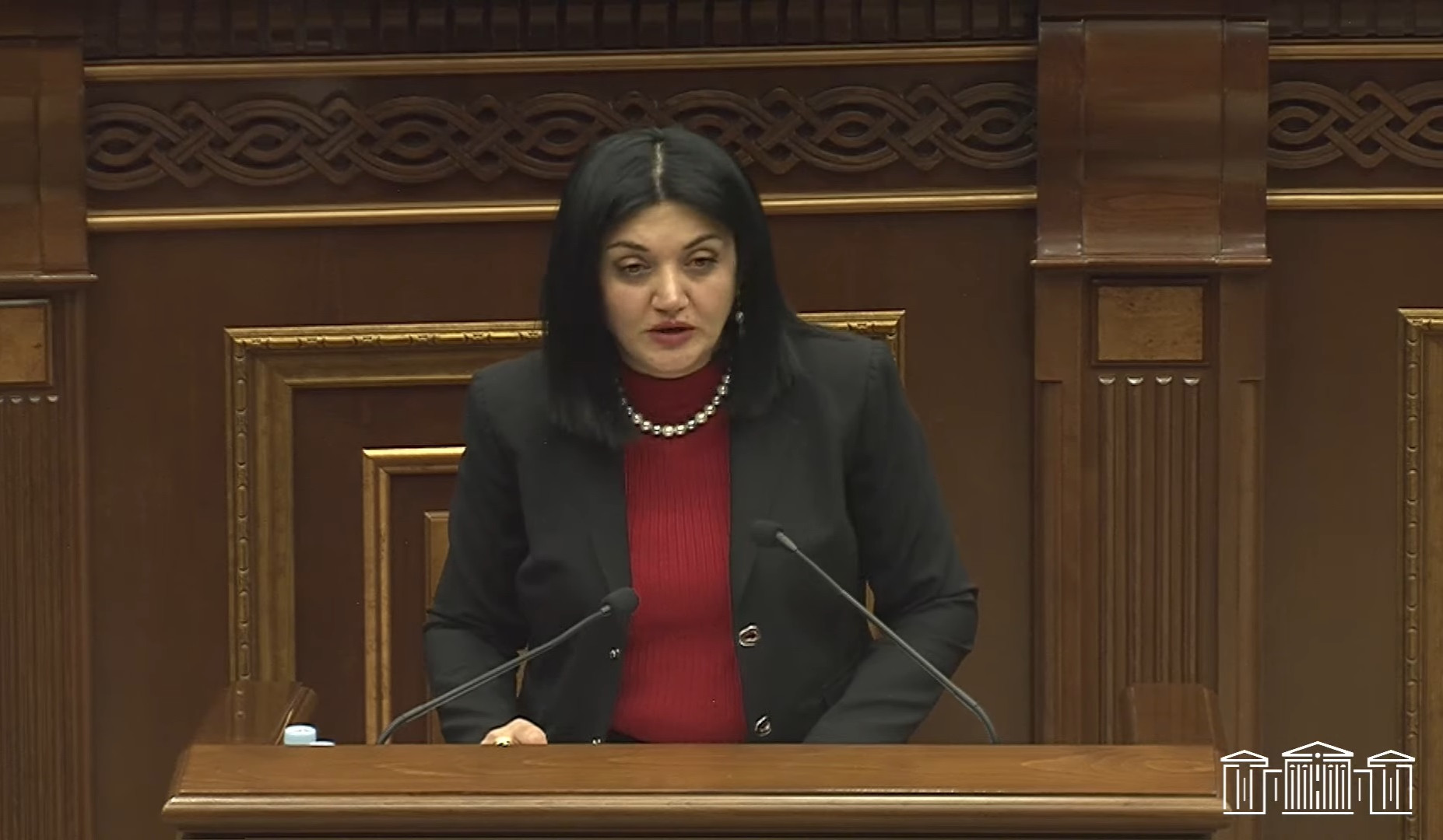 Առաջարկվում է ստեղծել ՀՀ արագ արձագանքման բժշկական խումբ, որը մարդասիրական առաքելություն կկատարի ՀՀ-ում և ՀՀ-ից դուրս