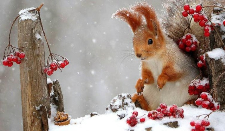 Օդի ջերմաստիճանը դեկտեմբերի 16-ի գիշերն աստիճանաբար կնվազի ևս 2-3 աստիճանով
