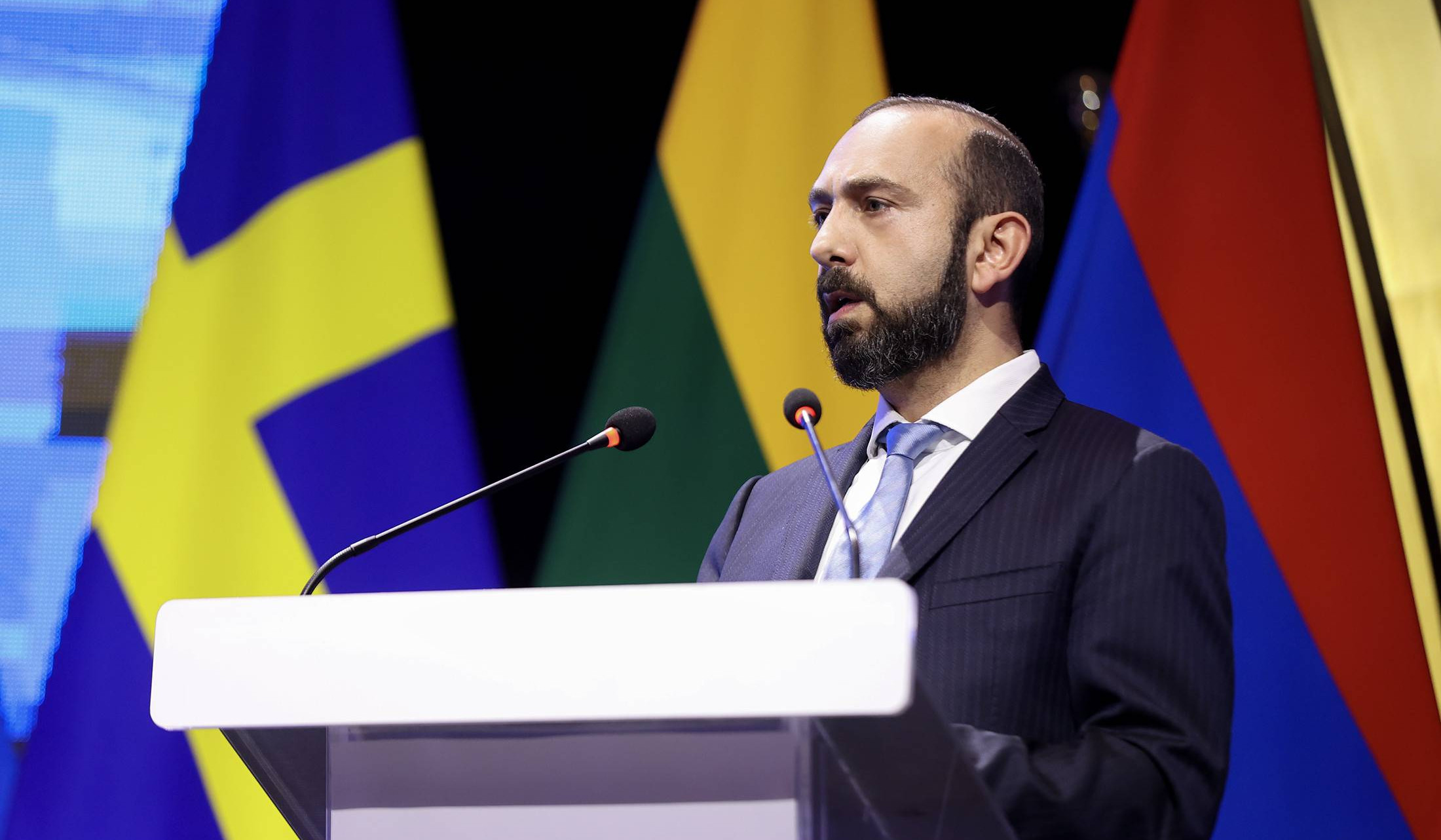 Remarks by Foreign Minister Affairs of Armenia at Panel Discussion 'Together for Peace and Democracy' (NB8)