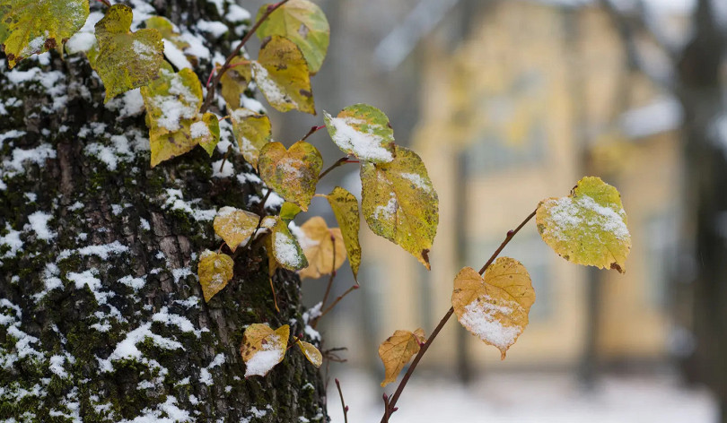 Ինչ եղանակ է սպասվում առաջիկա օրերին