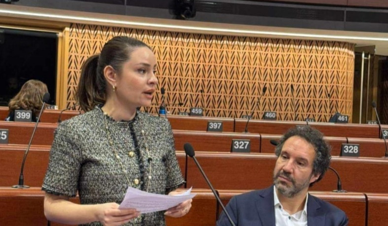 Sona Ghazaryan: By consciously directing public resources equitably, we can address gender disparities at their source