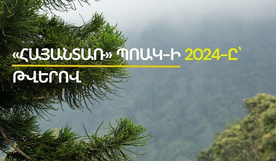 Անտառվերականգնման ու անտառապատման աշխատանքներ՝ 337,4 հա տարածքում. «Հայանտառ»-ի իրականացրած աշխատանքները 2024-ին