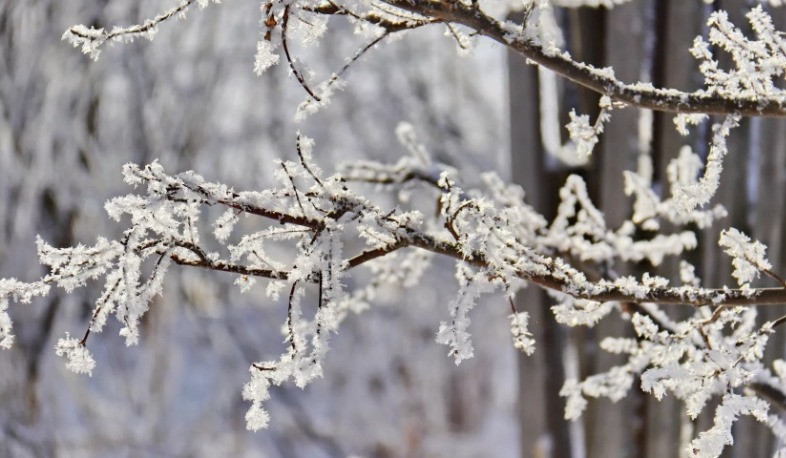 Հանրապետությունում առաջիկա օրերին սպասվում է առանց տեղումների եղանակ