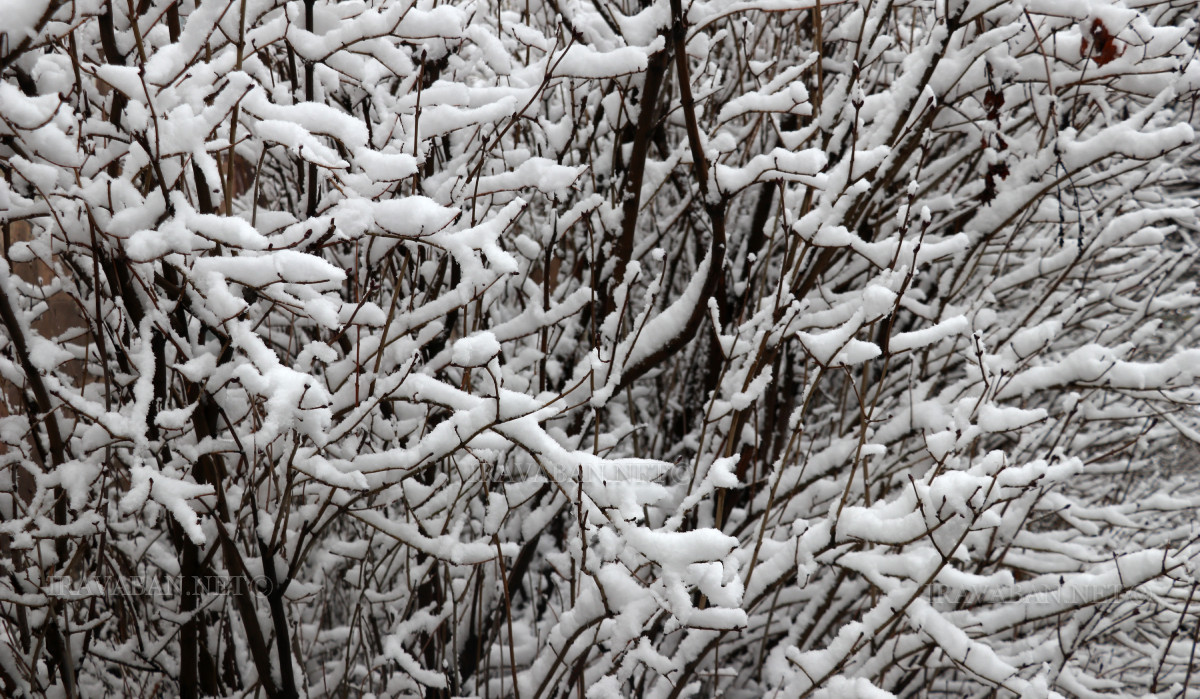 Առաջիկա օրերին  հնարավոր են տեղումներ․ ջերմաստիճանը կբարձրանա 3-5 աստիճանով