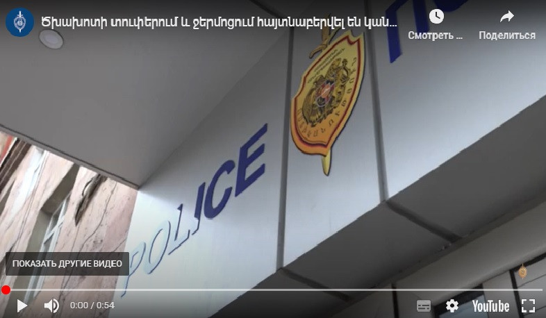 Ծխախոտի տուփերում և ջերմոցում հայտնաբերվել են կանեփ ու մարիխուանա. Կապանի ոստիկանների բացահայտումը