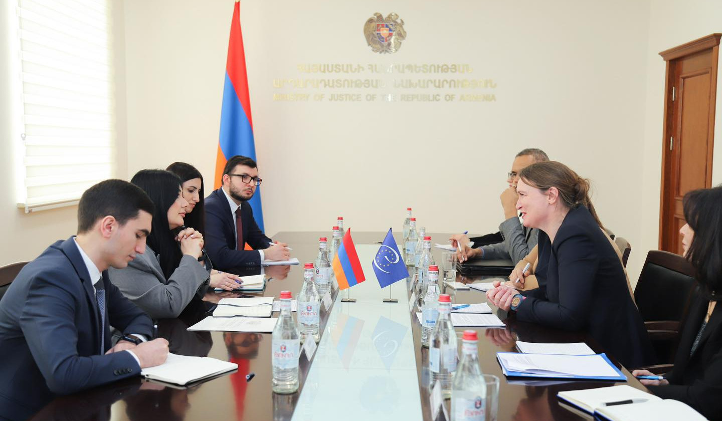 Արդարադատության փոխնախարարը ԵԽ գործընկերների հետ քննարկել է համատեղ ծրագրերի իրականացման ընթացքը