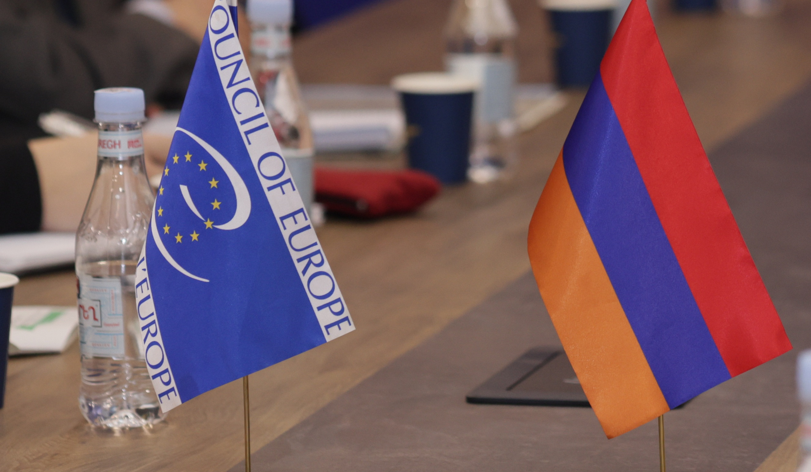 ՏԿԵ փոխնախարարը ԵԽ գործընկերների հետ քննարկել է համատեղ ծրագրերի իրականացման ընթացքը