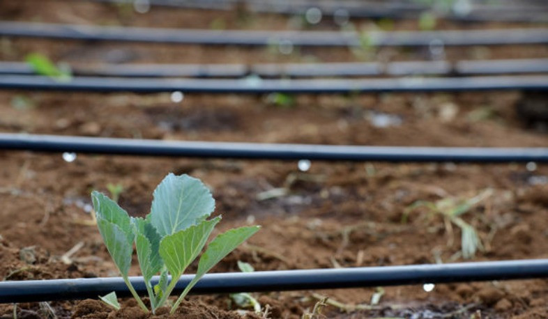 Կառավարության որոշմամբ կկառավարվեն այգեհիմնման և ոռոգման առաջադիմական տեխնոլոգիաների ներդրման գործընթացի ռիսկերը