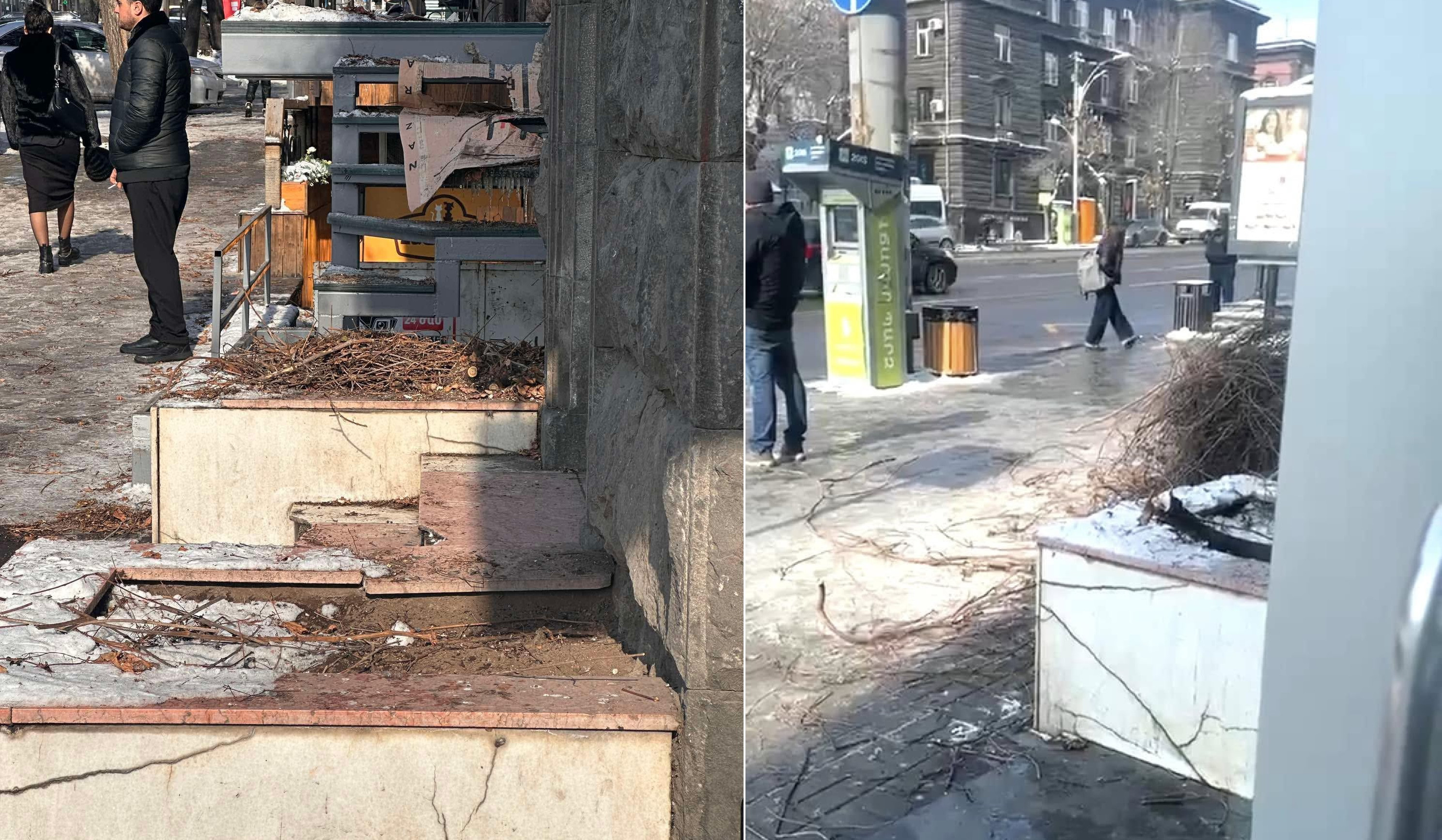 Հատել են Աբովյան 38 հասցեի տասնամյակների խաղողի վազը. «Կանաչապատում և շրջակա միջավայրի պահպանություն» ՀՈԱԿ-ը դիմել է ոստիկանություն