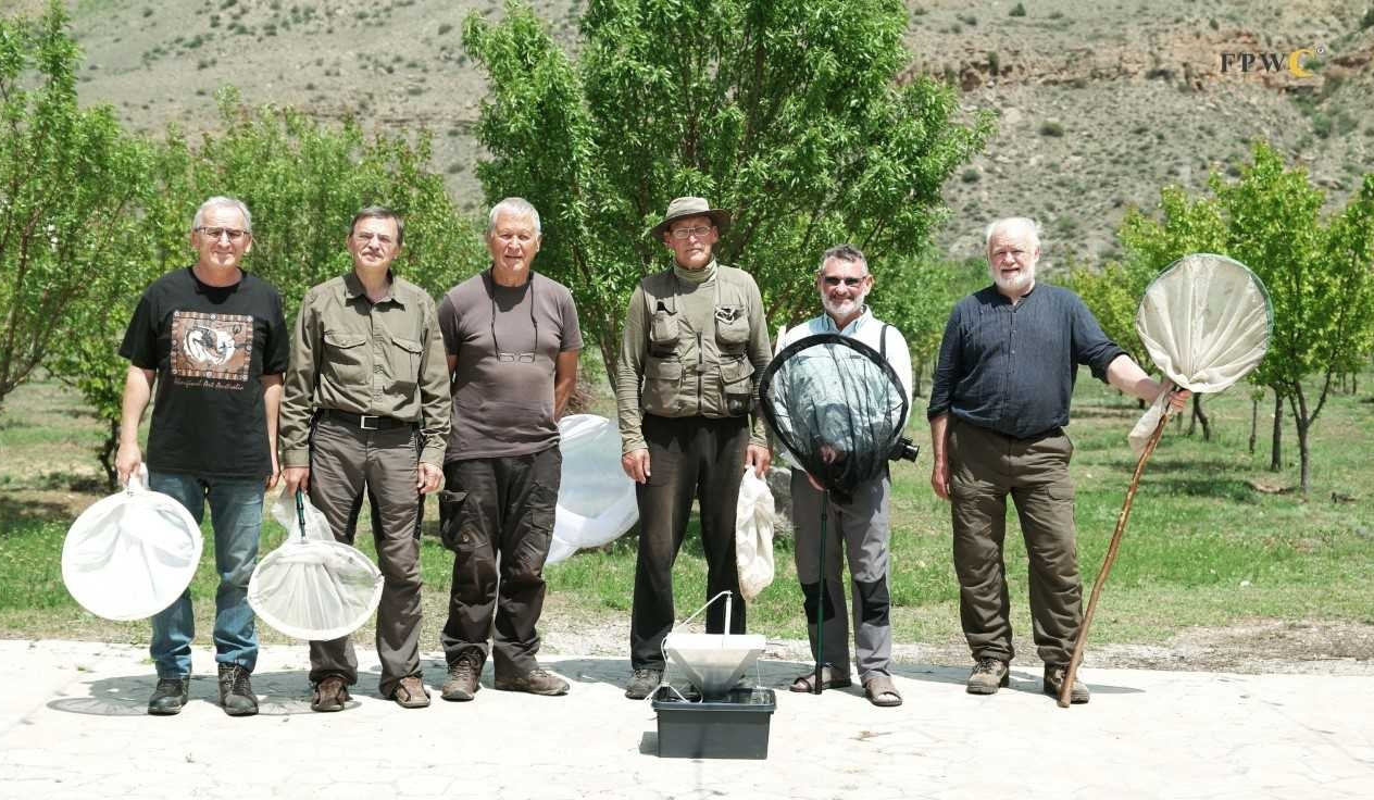 10 նոր տեսակի միջատներ են հայտնաբերվել Ուրցաձորում և Գոռավանի ավազուտներում