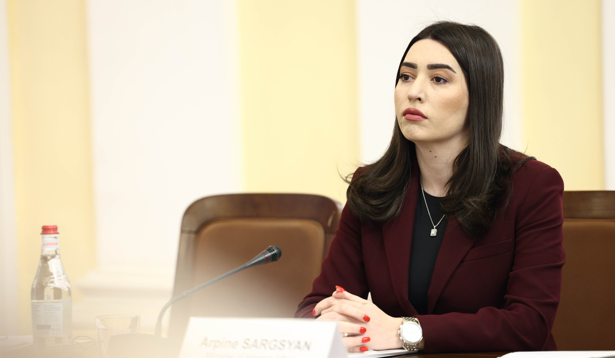 Արփինե Սարգսյանը ներկայացրել է ՆԳՆ և ենթակա ծառայությունների բարեփոխումներն ու արձանագրված արդյունքները