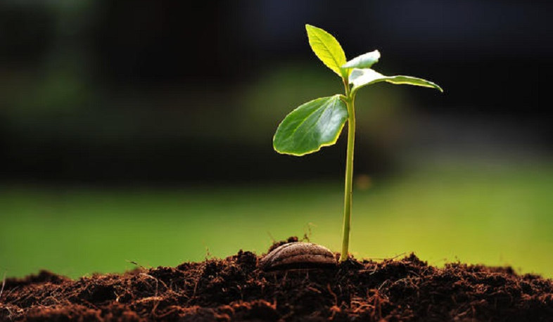 Մարտի 8-ին Արարատյան դաշտում և Երևանում կունենանք +14…+18 աստիճան տաքություն. Գագիկ Սուրենյան