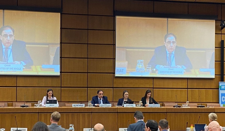 Հայաստանի ներկայացուցիչն ընտրվել է ՄԱԿ-ի Թմրամիջոցների հարցերով հանձնաժողովի առաջին փոխնախագահի պաշտոնում