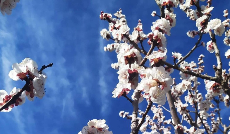 Օդի ջերմաստիճանն աստիճանաբար կբարձրանա 11-15 աստիճանով