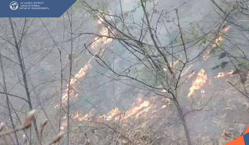 Հրշեջ-փրկարարները կանխել են հրդեհի տարածումը դեպի մոտակա անտառ