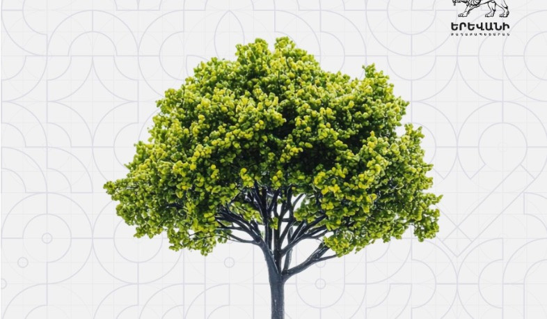 Երևանում վերջին 3 տարում տնկել ենք 20.192 նոր ծառ. Ավինյան