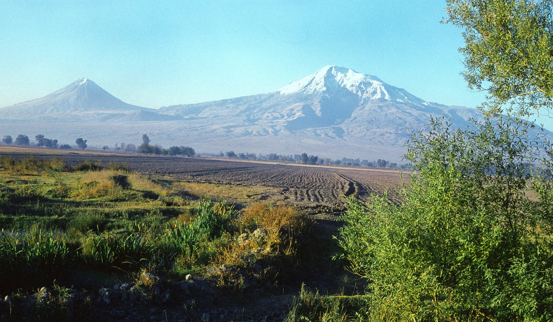 Հանրապետության հովտային և նախալեռնային հատվածներում ցրտահարության դեպքեր չենք ունենալու. Սուրենյան
