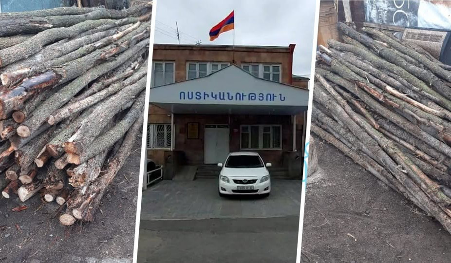 Հատել էր 104 բարդի. ոստիկանների բացահայտումը