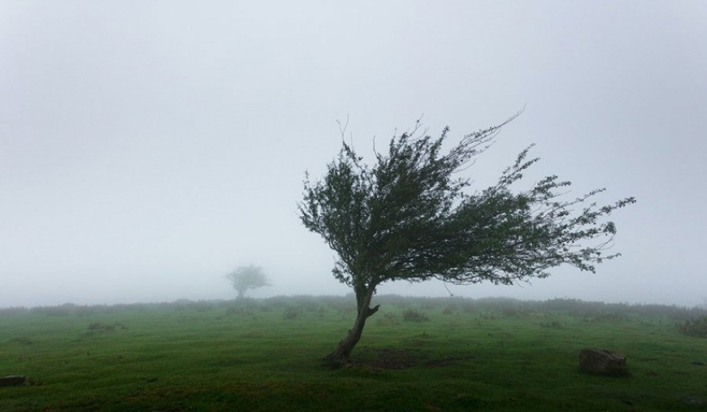 Հանրապետության առանձին շրջաններում սպասվում է քամու ուժգնացում