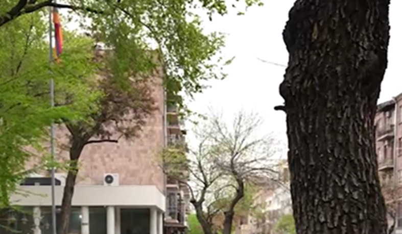 Նոր ծառեր՝ բարեկարգված Հանրապետության փողոցում