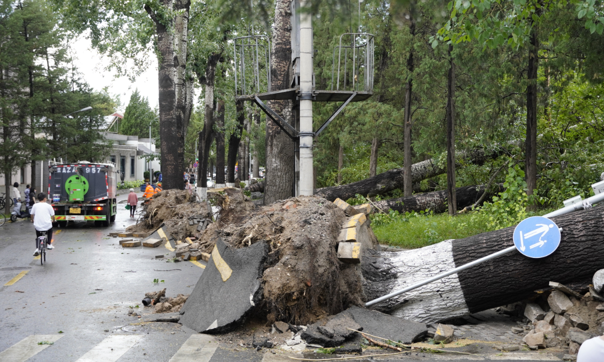 Strong winds sweep Beijing, knock down over 800 trees