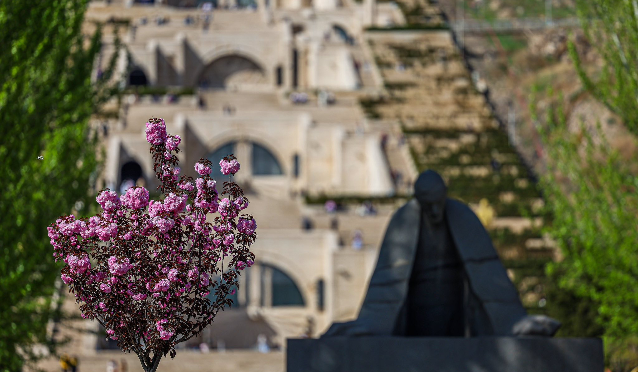 Երևանի ծաղկող ծառերն ու գարնանային գույները. լուսանկարներ