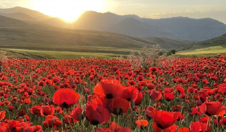 Օդի ջերմաստիճանը ապրիլի 17-ի ցերեկը, 18-22-ին կբարձրանա 10-13 աստիճանով. սպասվում է առանց տեղումների եղանակ