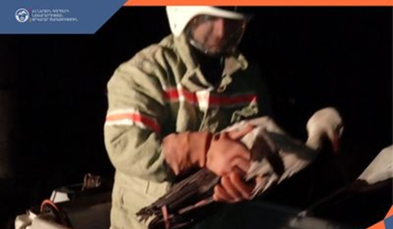 Երասխ գյուղում արագիլն արգելափակվել է մետաղական կառուցատարրերում․ օգնության են հասել փրկարարները