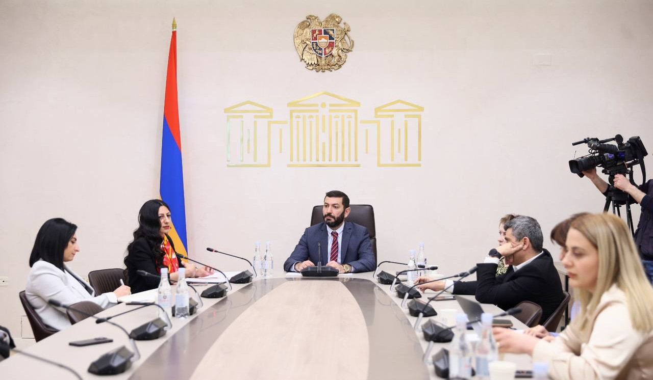 Անահիտ Մանասյանը ԱԺ հանձնաժողովին է ներկայացրել ՄԻՊ 2024 թ. տարեկան զեկույցն ու հաղորդումը