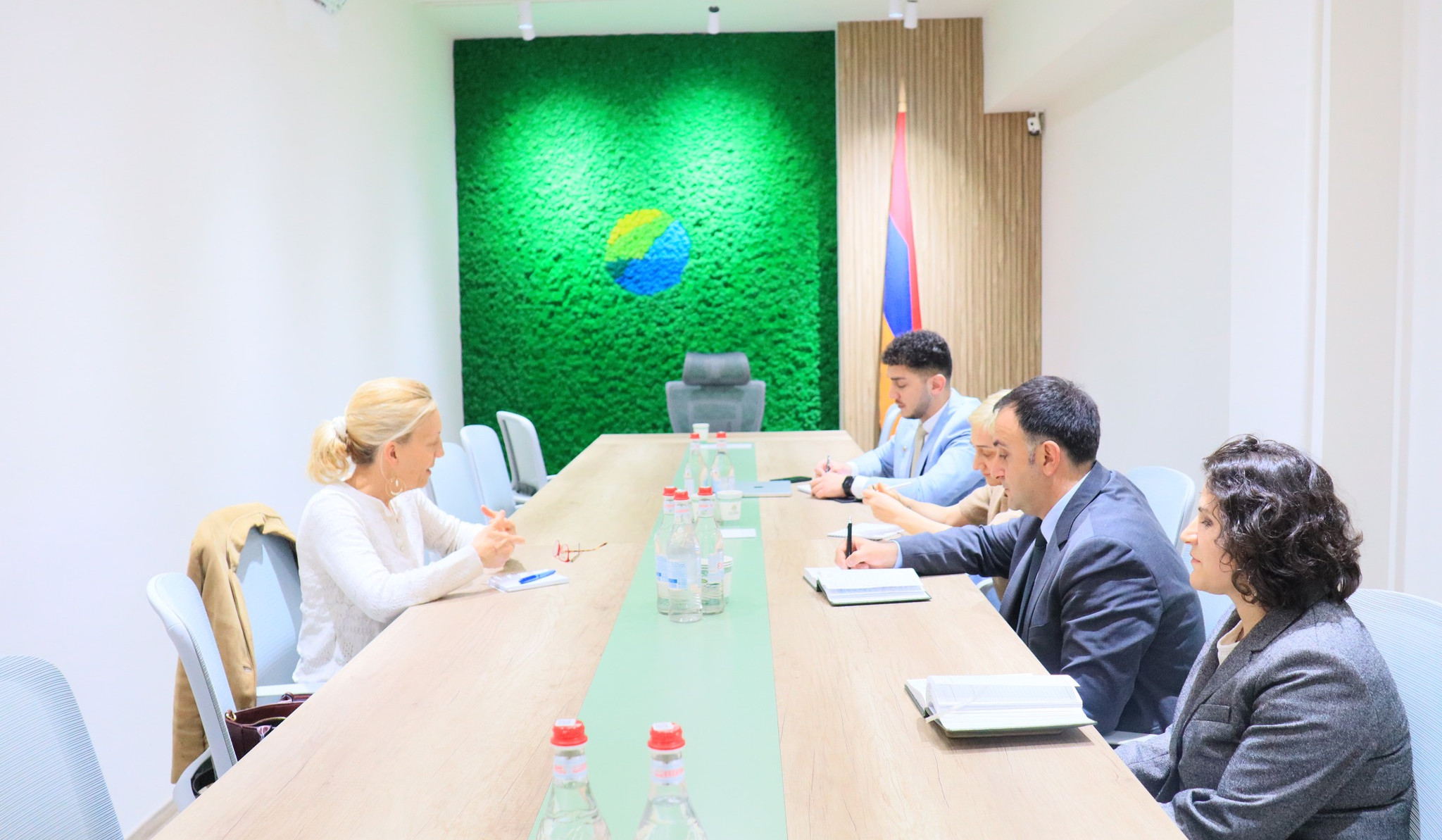 Շրջակա միջավայրի փոխնախարարը ՀՀ-ում ՄԱԿ-ի մշտական համակարգողի հետ քննարկել է  COP17-ի կազմակերպմանն առնչվող հարցեր