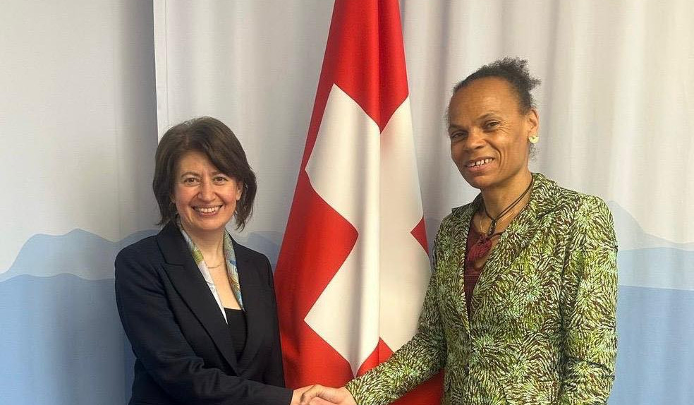 Հասմիկ Տոլմաջյանը Շվեյցարիայի ԶՀԳ գլխավոր տնօրենին է ներկայացրել տարածաշրջանում անվտանգային իրավիճակը