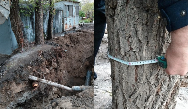 Աջափնյակում ծառերի արմատների վնասման դեպքով ԲԸՏՄ-ն հաղորդում է ներկայացրել Քննչական կոմիտե