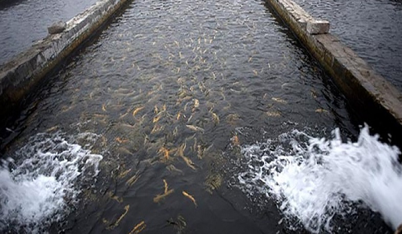 Ձկնաբուծական ոլորտի շինությունների նախագծման թույլտվություն ստանալու համար անհրաժեշտ է վավեր ջրօգտագործման թույլտվության փաստաթուղթ