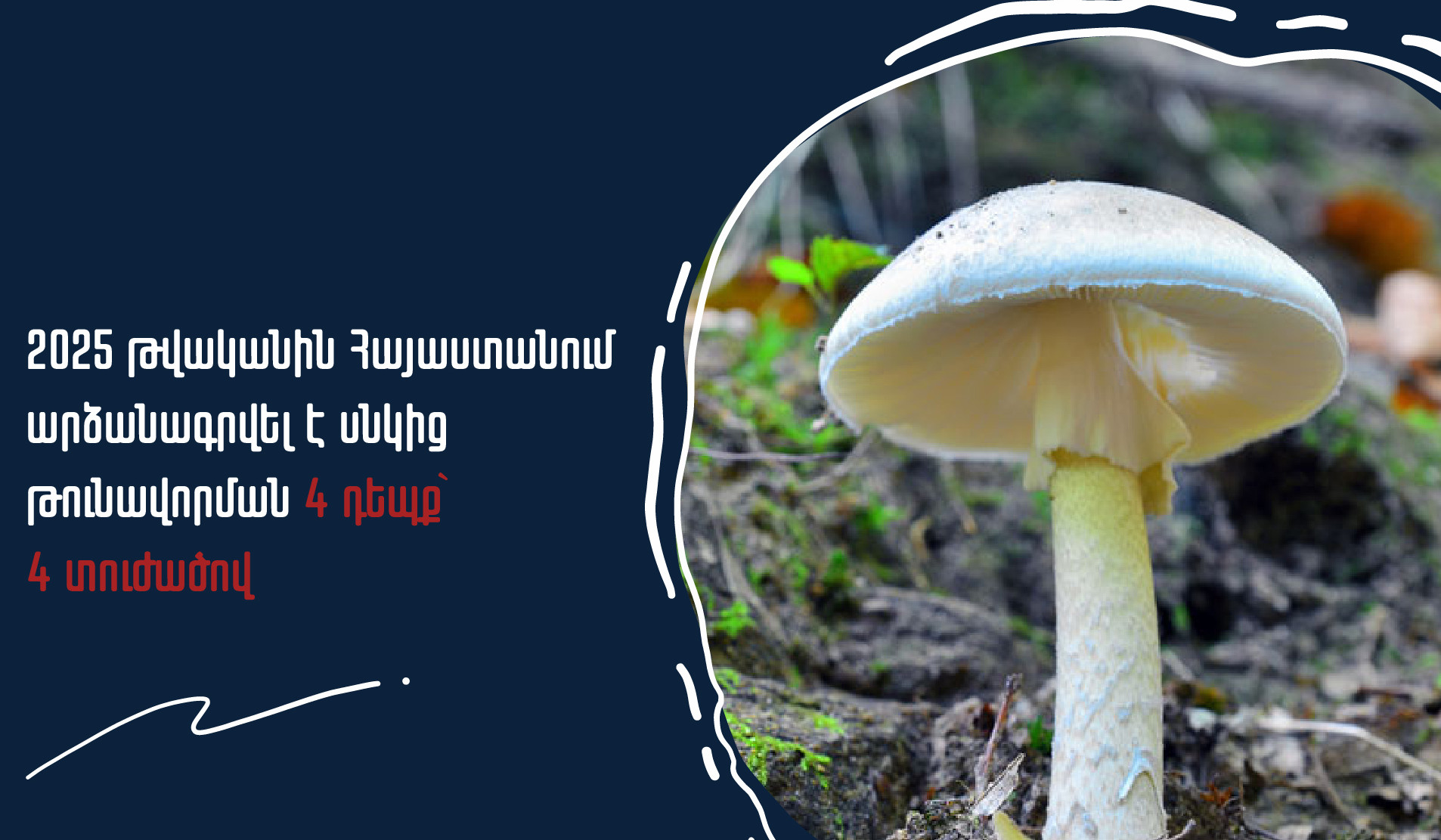 2025 թվականին արձանագրվել է սնկից թունավորման 4 դեպք՝ 4 տուժածով. Առողջապահության նախարարությունը զգուշացնում է