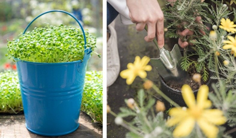 Մեկնարկում է «Դպրոցական լավագույն մինի այգի» հինգերորդ մրցույթը