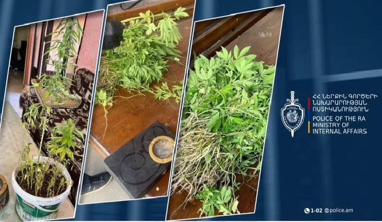 Անձի հետախուզման բաժնի ծառայողներն ապօրինի թմրաշրջանառության դեպք են բացահայտել