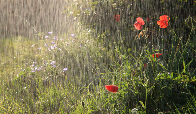 Հունիսի 3-4-ը հանրապետության առանձին հատվածներում սպասվում են հորդառատ անձրևներ