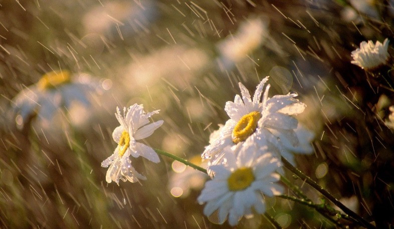 Հանրապետության առանձին շրջաններում սպասվում է կարճատև անձրև և ամպրոպ, օդի ջերմաստիճանը կբարձրանա