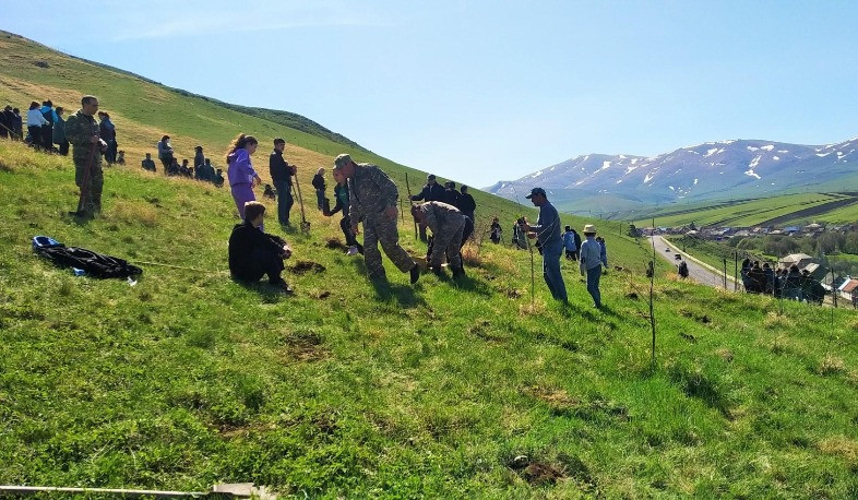 2024-ին բյուջեով ֆինանսավորված 337 հեկտար անտառտնկում ենք իրականացրել. Հակոբ Սիմիդյան