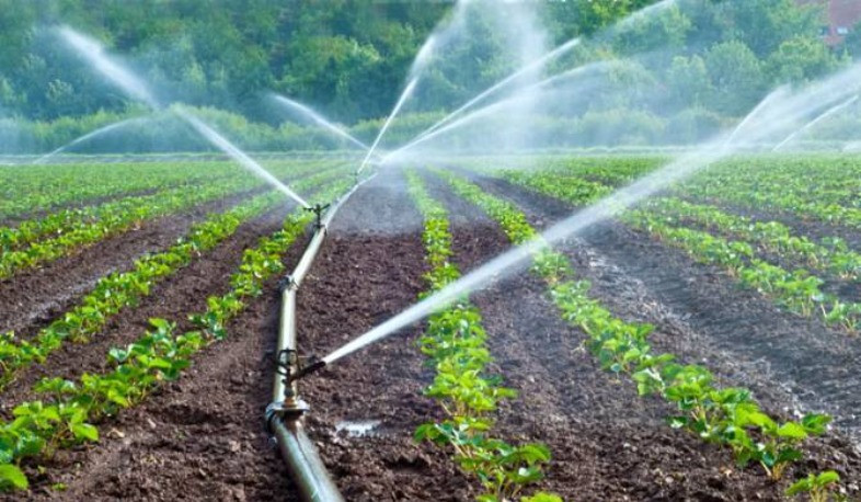 Կառավարությունը հաստատել է տնամերձ հողամասերում այգեհիմնման և ոռոգման արդիական համակարգերի ներդրման ծրագիրը