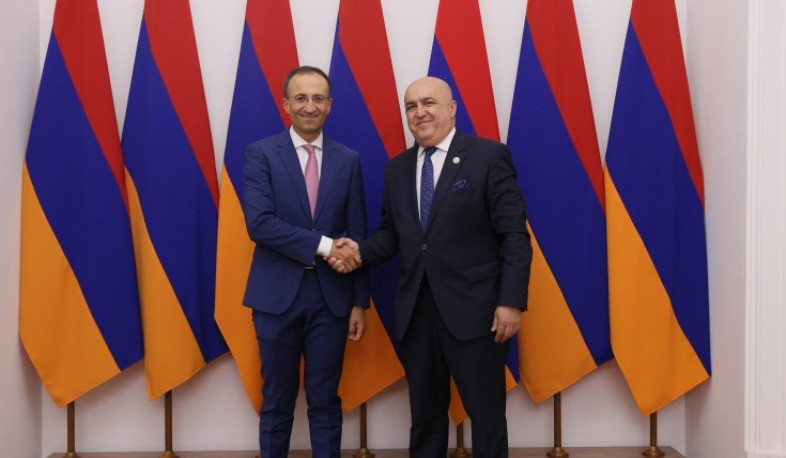 Արսեն Թորոսյանը և Վրաստանի խորհրդարանի առողջապահության հանձնաժողովի նախագահը քննարկել են առողջապահական ոլորտում իրականացվող ծրագրերը