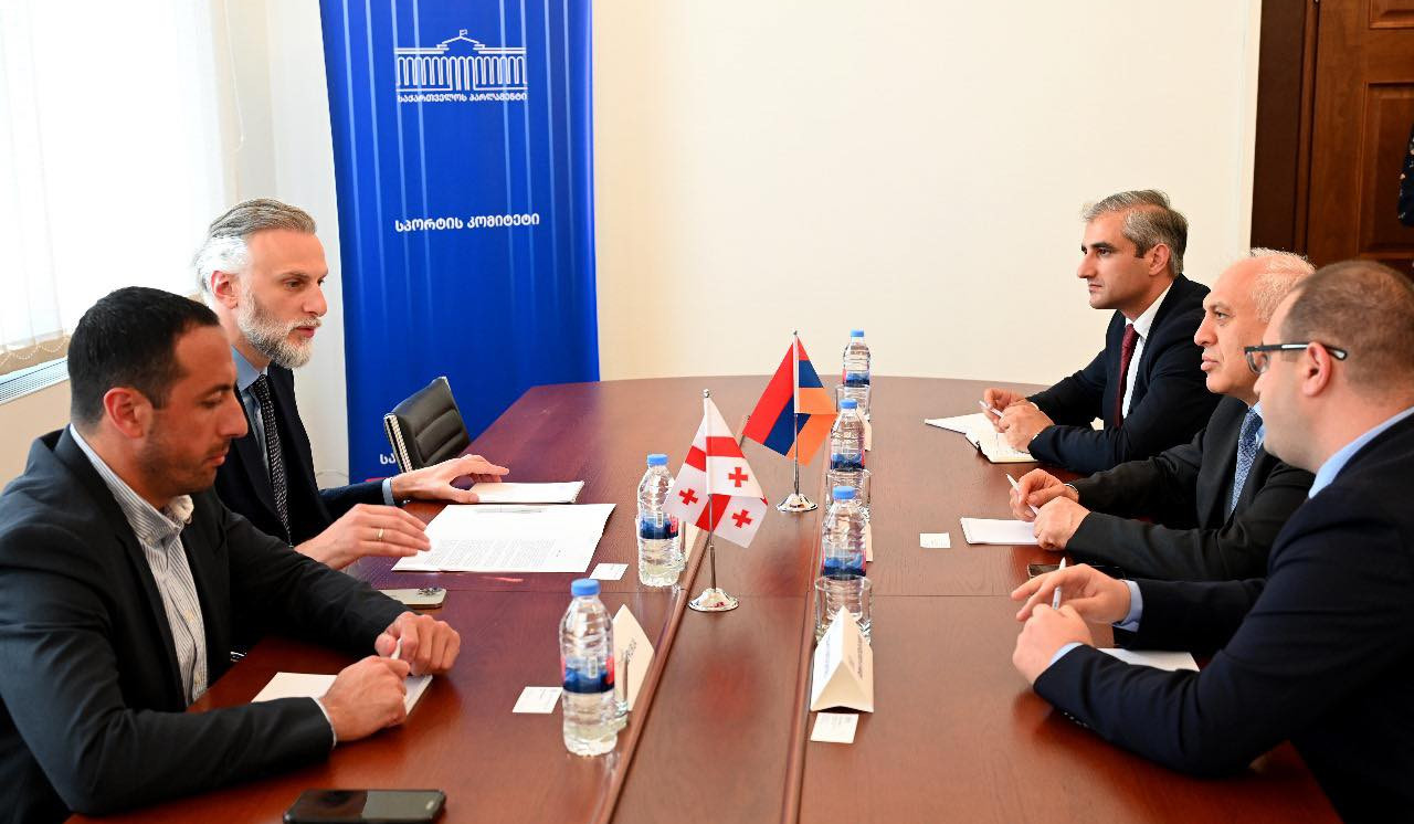 Քննարկվել են ՀՀ և Վրաստանի միջև սպորտի ոլորտում համագործակցության ընդլայնման հարցեր